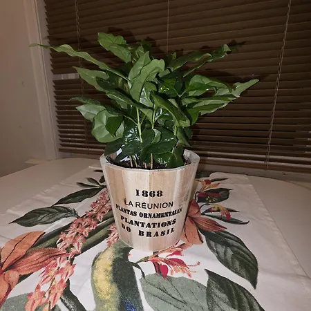 Kuusi Kokkola (Karleby)