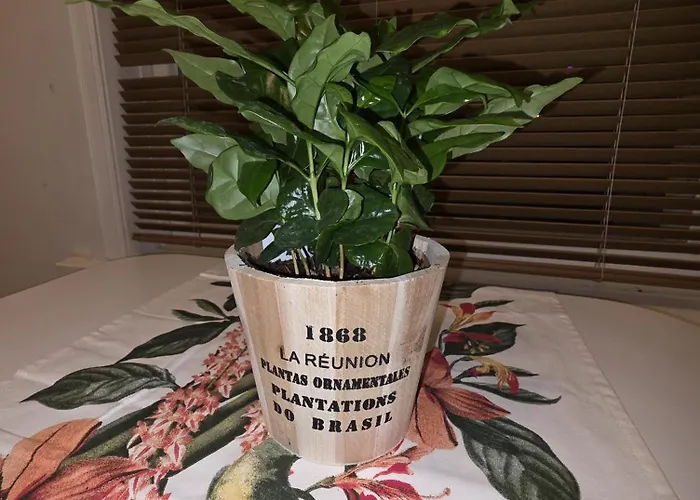 Kuusi Kokkola (Karleby)